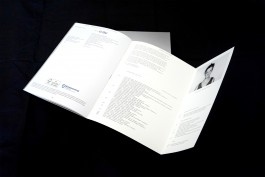 levin-stadler-design